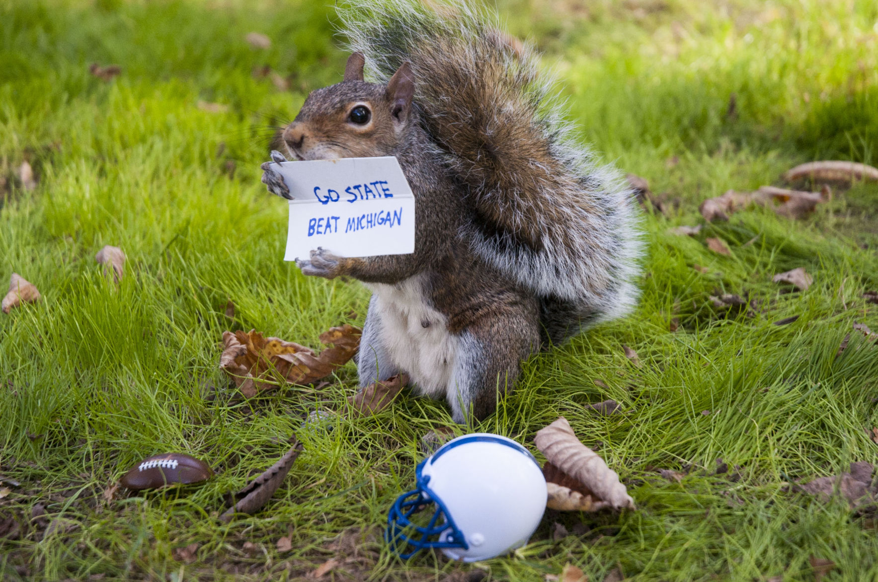 Sneezy The Penn State Squirrel - Michigan sign
